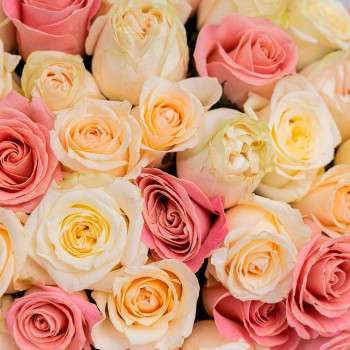 Монобукет 51 роза микс 3